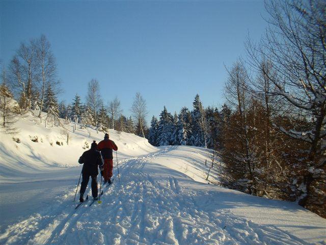 Penzion U kozy Chřibská Exterior foto